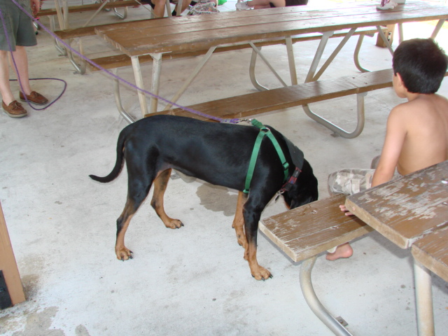 JTRG Picnic 041011 (2).JPG